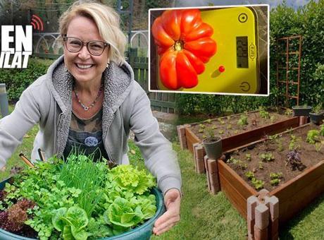 Her yere kurulan salata saksısı! Ağrıları artınca bu işe girdi, en ucuzu 10 bin lira