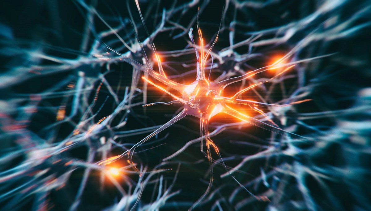 Alzheimer teşhisinde yeni dönem: Kan testiyle erken tanı mümkün!
