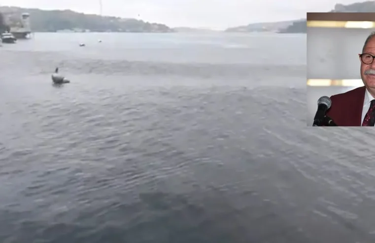 Prof. Dr. Şükrü Ersoy’dan deprem sonrası Boğaz’da oluşan görüntüyle ilgili açıklama! Marmara’da tsunami riski var mı?