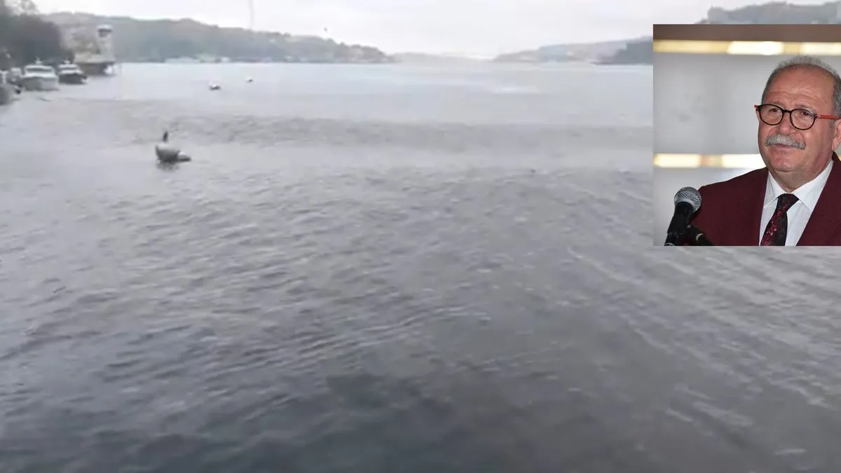 Prof. Dr. Şükrü Ersoy’dan deprem sonrası Boğaz’da oluşan görüntüyle ilgili açıklama! Marmara’da tsunami riski var mı?