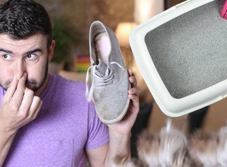 Ayakkabısına kedi kumu serpti, sonuç inanılmazdı! ‘Sıfır koku’ formülü