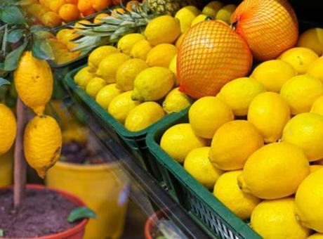 Çekirdeklerini çıkarıp eken yaşadı! Limondan ağaç çıkıyormuş, marketten alınana bakın