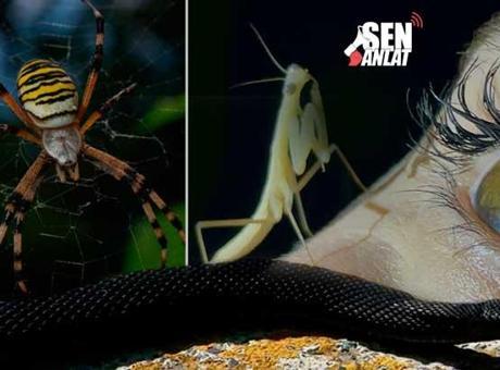Büyük bir şans! 7 gün önce Samsun’da herkesin göremediğini gördü: ‘Simsiyahtı’