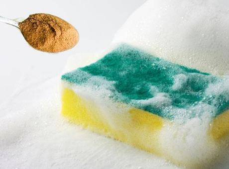 Basit ama hayat kurtarıcı! Bulaşık süngerine tarçın serpin, sonucu görün