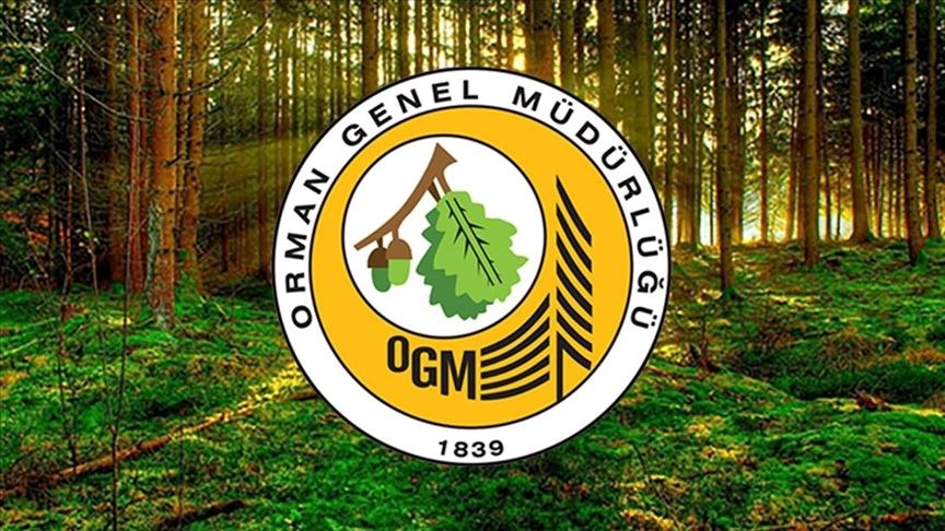 OGM 3 bin 455 personel alımında son durum: OGM personel alımı başvuru sonuçları ne zaman açıklanacak?