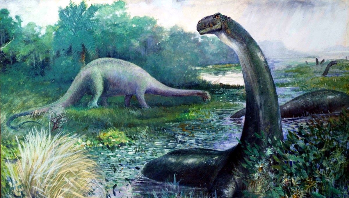 Bilim insanları bir dinozorda kanser buldu: İnsan tümörüyle aynı tür