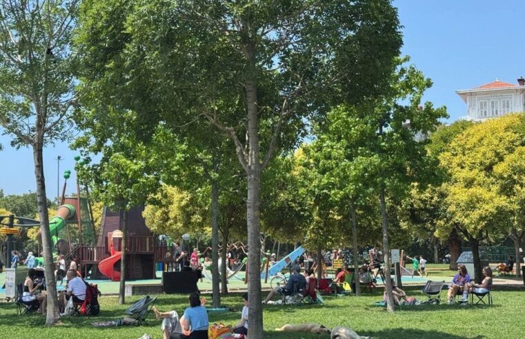 İstanbul’da tedirgin eden artış: Ense, koltuk altı ve diz arkalarına dikkat!