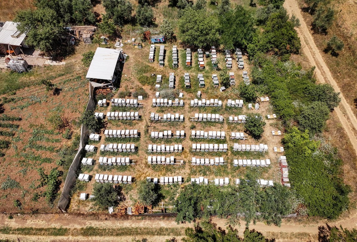 4 arkadaş eşleriyle birlikte üretiyor:  Türkiye’nin dört bir yanına gönderiyorlar