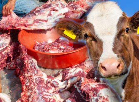 Kurban etini bilmeden parçalamayın! En lezzetli ve pahalı yeriymiş, doğru kesen yaşadı