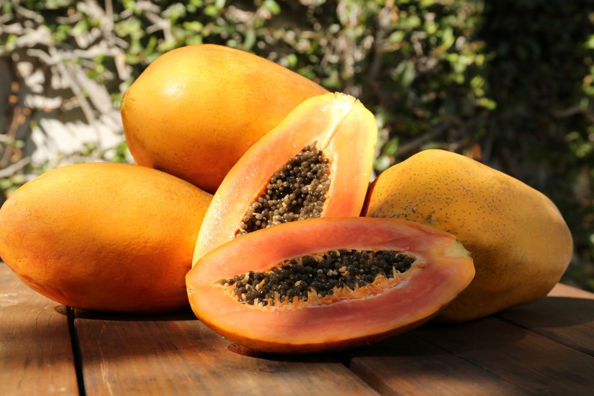 Güne bir kase papaya ile başlamak için 8 neden: Sayısız faydası var