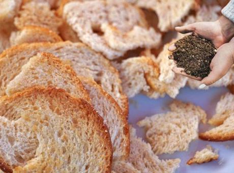 Bayat ekmek gibisi yok, sayesinde ne bitkiler yetişiyor! En iyi gübre böyle olur