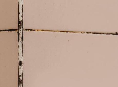 Derz araları ustadan yeni çıkmış gibi! Toz, kir tanımayan formül, parlatıyor