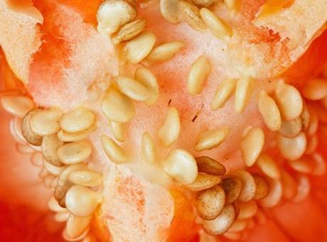 Portakaldan daha güçlü! C vitamini onlardan soruluyor