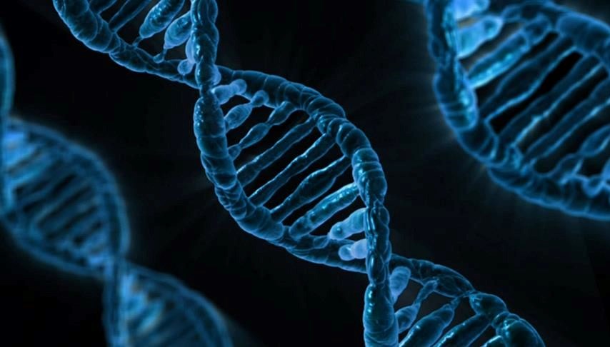 En büyük gen haritası hazırlandı: “Çöp DNA” ve “zıplayan genlerin” gizemi çözülüyor