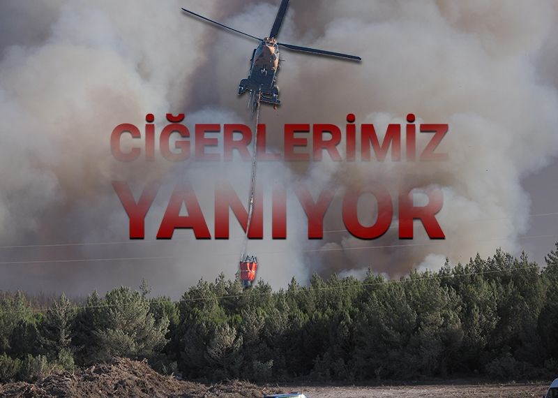 İzmir’de orman yangınları sürüyor: Ödemiş, Buca ve Çeşme’de son durum