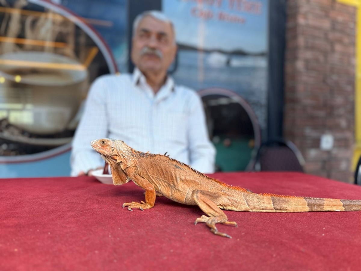 “Ökkeş” beldenin maskotu oldu: Gelen hatıra fotoğrafı çektiriyor