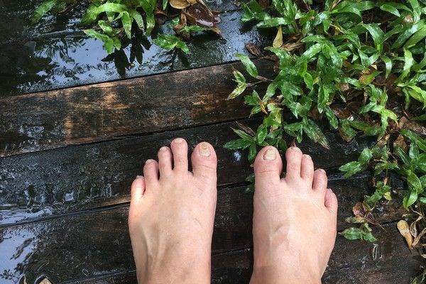 Chikungunya virüsünün görüldüğü ülkeler: Chikungunya virüsü nedir, belirtileri neler?