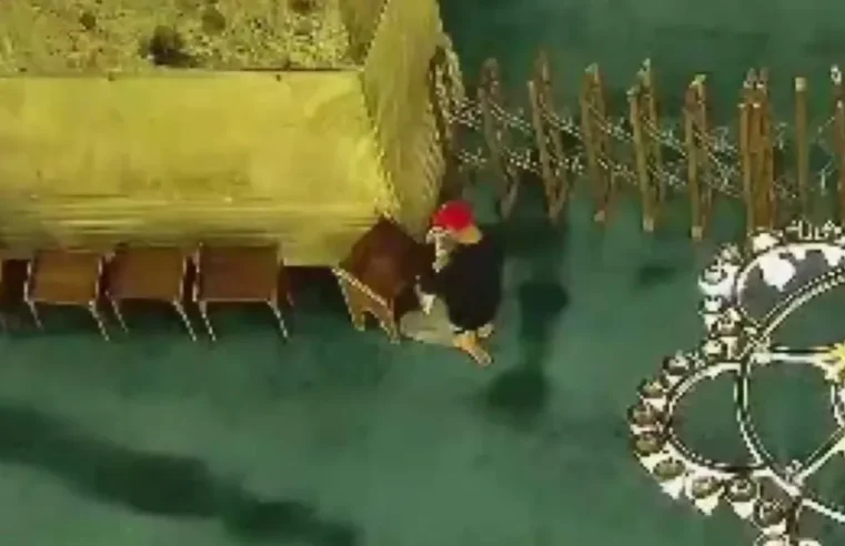 Ayasofya Camii’nde yangın çıkardıktan sonra kaçan şüpheli kamerada