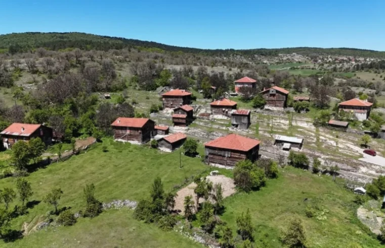 Köyüne dönene büyük fırsat! Tarım için arazi, oturmak için ev: İşte detaylar…